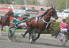 Toreador 150522-3
